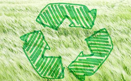 Ocean Orthodontics Goes Green